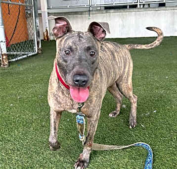 Photo of CASH