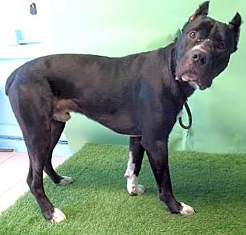 Photo of TANK