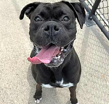 Photo of Tyson