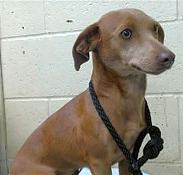 Photo of BETTY