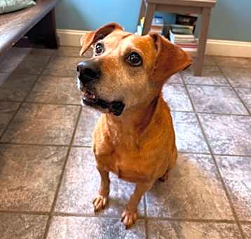 Photo of SIMBA