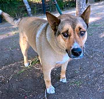 Photo of OKIE