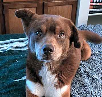 Photo of CARAMEL