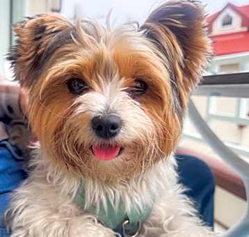 Photo of Cooper