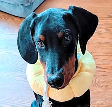 Photo of Raya
