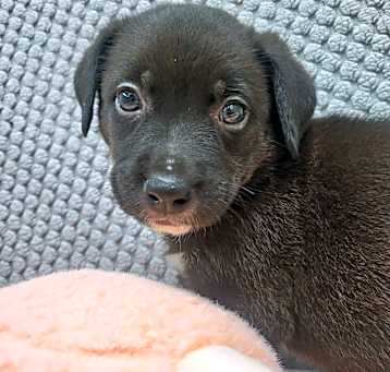 Photo of Nyx
