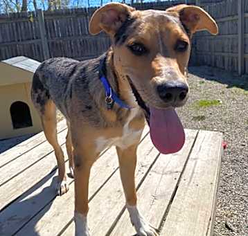 Photo of Cash