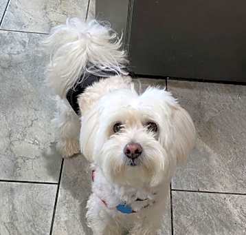Photo of Benny