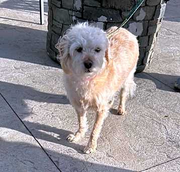 Photo of Selina