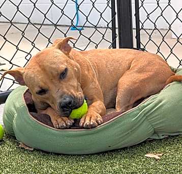 Photo of Oakley