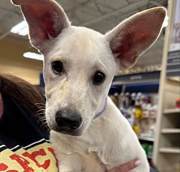 Photo of Kilo