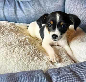 Photo of CLARA (4)