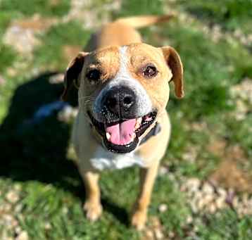 Photo of Archie