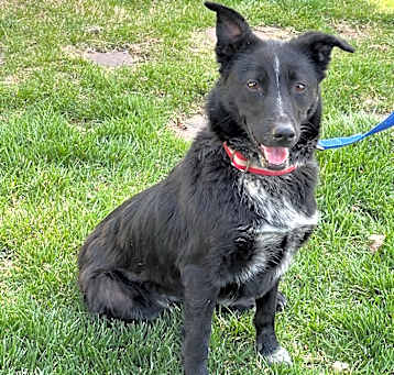 Photo of Thelma