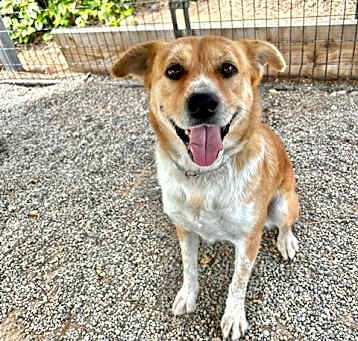 Photo of Hope