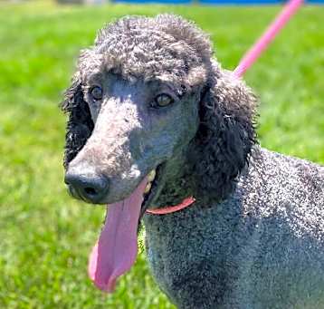 Photo of Violet May 25