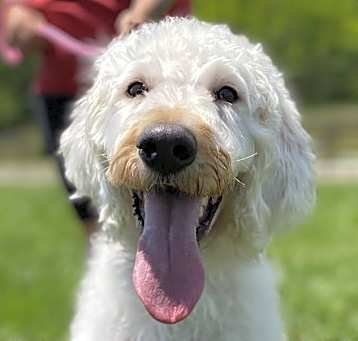 Photo of Lucky May 25