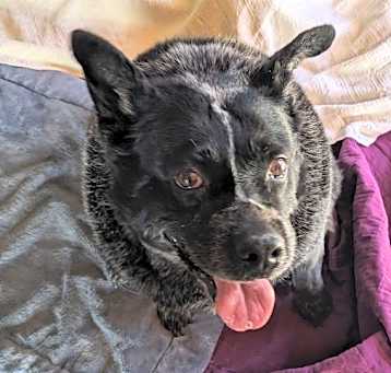 Photo of Sandy