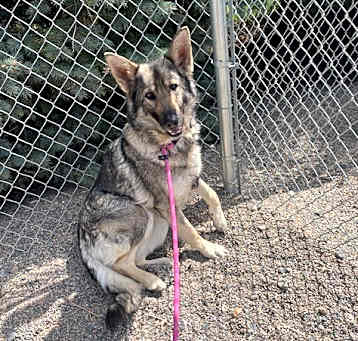 Photo of Whisper