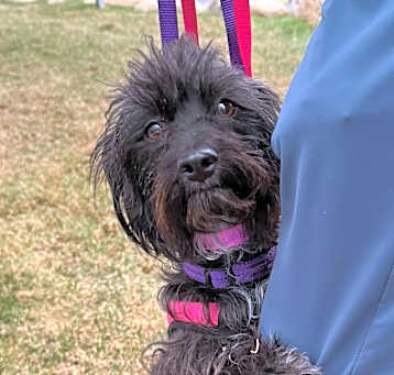 Photo of Amy