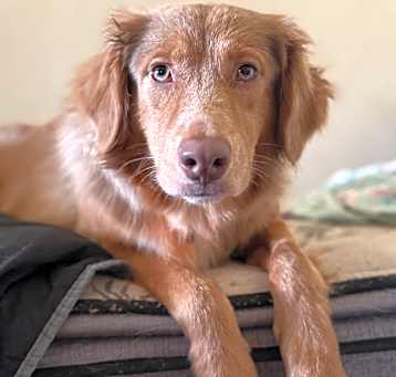 Photo of Promise