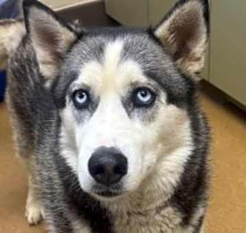 Photo of Trudy