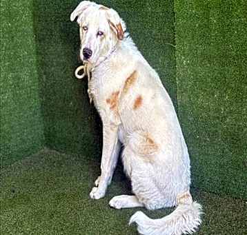 Photo of LUCKY