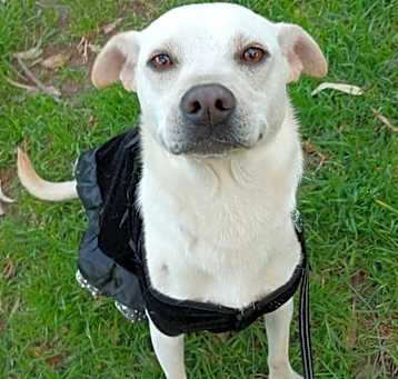 Photo of BLANCA
