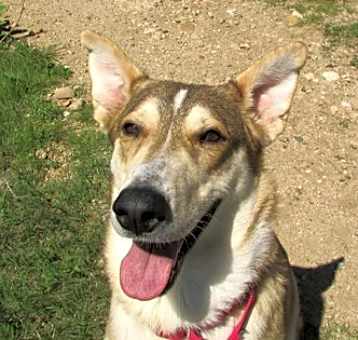 Photo of Junie