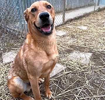 Photo of Cherokee