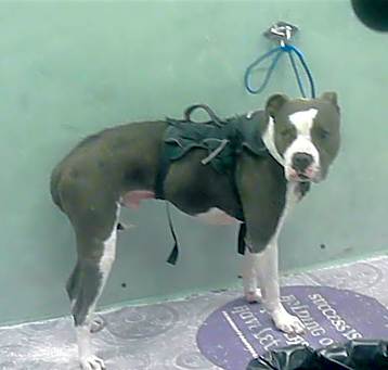 Photo of A2010485