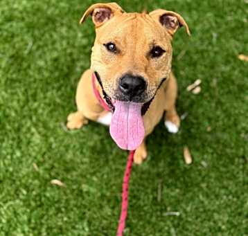 Photo of Maggie May - 2