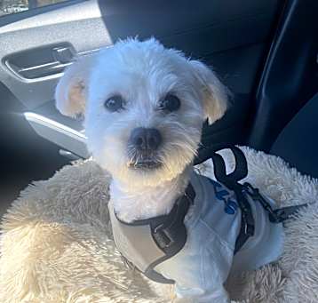 Photo of BENNY
