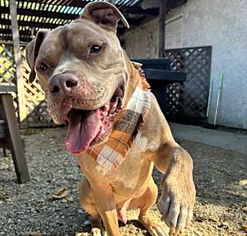 Photo of JAXX