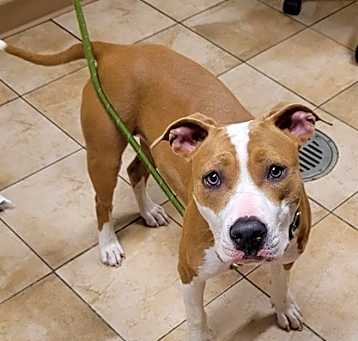 Photo of Natasha (mcas)