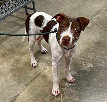 Photo of Toby JD