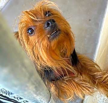 Photo of Chase