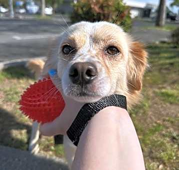 Photo of Tucker