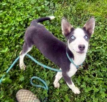 Photo of Tilda