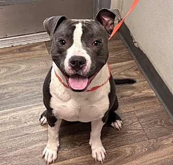 Photo of Hermes