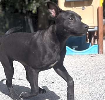 Photo of Jasmine