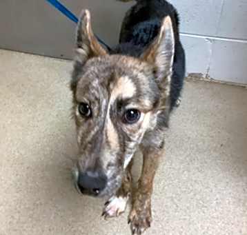 Photo of Pepsi
