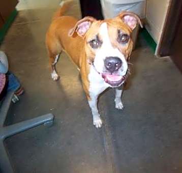 Photo of Roxy