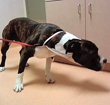 Photo of A1032114