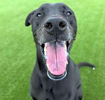 Photo of Tucker - 2