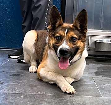 Photo of Spud
