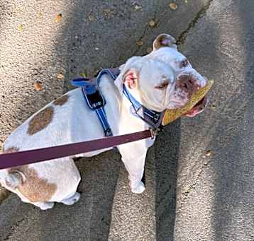 Photo of Wally