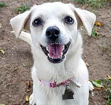 Photo of Tootsie