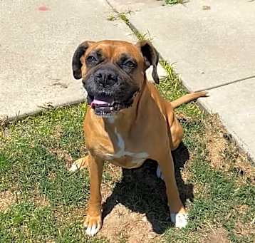 Photo of Roxie