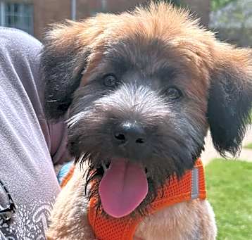 Photo of Winnie